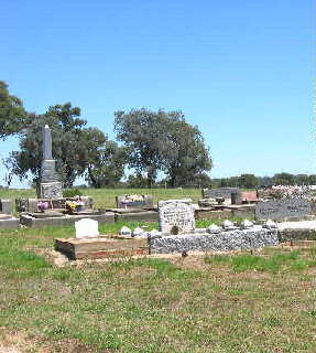winton cem stitch center