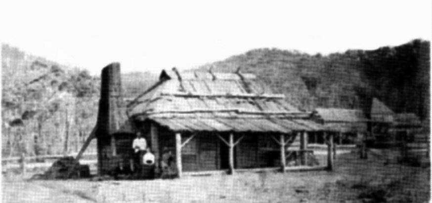 Curries homestead