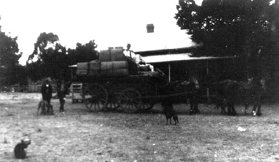Horse team